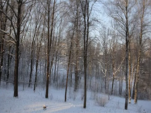 60 saniyede dört mevsim