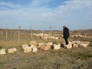Sökülen Tarihi Köprünün Taşları Ortada Bırakıldı