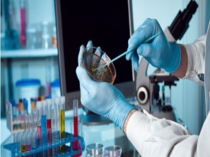 Dünyayı umutlandıran buluş