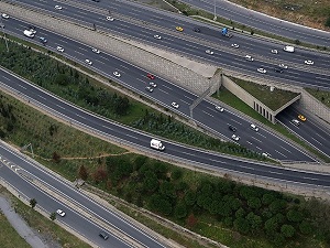 75 milyon ton petrolü karayolunda tükettik