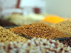 Tarım ve kırsal kalkınmaya büyük destek