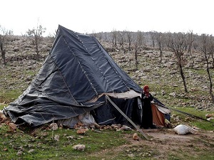 Yezidi aileler evlerine dönecekleri günü bekliyor