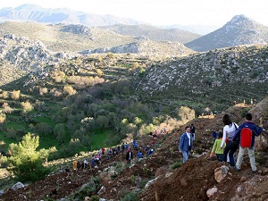 İzmir'de 96 bin sakız fidanı yeşerecek