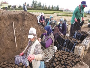 Bozkırın fidanları orman oluyor