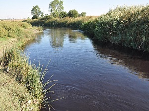 'Ergene havzasında gözle görülür bir iyileşme tespit edildi'