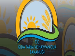 Küçük üreticiye özel 4 düzenleme