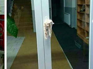 Avusturya'da camiye saldırı