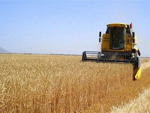 Bakliyat üreticilerine müjde