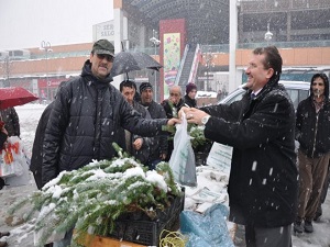 Orman İşletmesi Ücretsiz Fidan Dağıttı