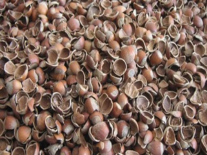 Kabuklu fındık yeni yıla 15 lirayla girdi