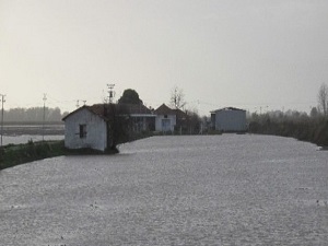 Menderes taştı ortalık göle döndü