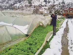 Çiftçi 45 milyon TL zararda!