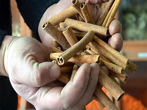 Tarçın, şeker hastalığına iyi geliyor