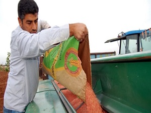 GAP Teknoparkı, sertifikalı tohum peşinde