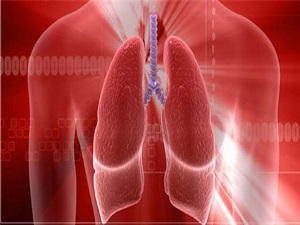 'Verem hastalığında artış var'