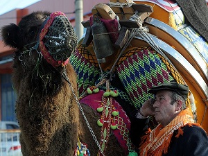 Lüks konut fiyatına deve