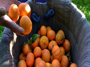 Soğuk bahane, fiyatlar şahane!