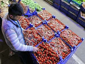 Kara kış meyve ve sebze fiyatlarını etkilemeyecek