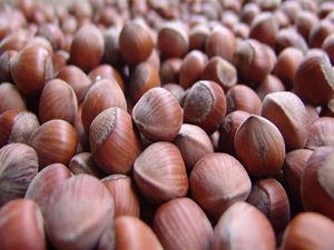 Türkiye'den rekor fındık satışı