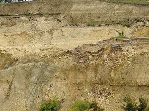 Asbestli toprak ağaçlandırılmalı