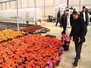 Dev serada paralı eğitim