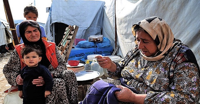 Kampların çilekeş anneleri