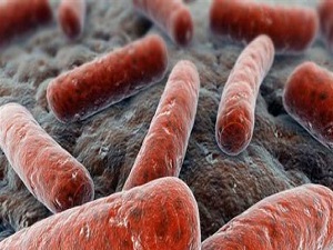 Verem, tedavisi olan bir hastalık