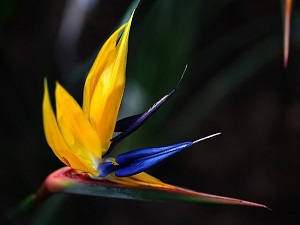 Biyolojik envanter çalışmaları 2018'de tamamlanacak