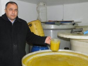 Burhaniye'de Raflardaki Zeytin Yağları Dondu