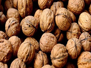 Denizli'den Avrupa'ya sertifikalı ceviz ihracı