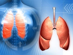 Tüberküloz, ölümcül ilk 10 hastalık arasında