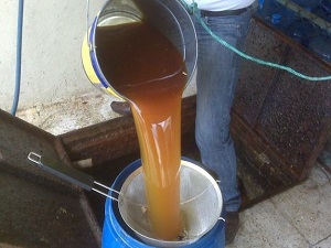 En Çok Atık Yağı Toplayan Okullar Ödüllendirilecek