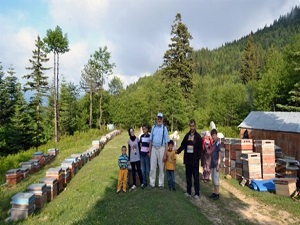 Arıcıların önü açıldı