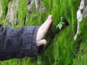 Yarıyıl tatilinde çocuğunuzu doğayla buluşturun