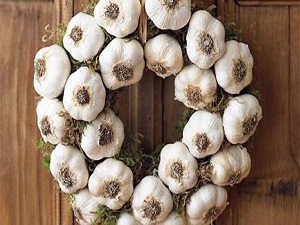 İşte Taşköprü sarımsağının diğerlerinden farkı