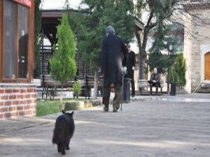 Her gün birlikte camiye