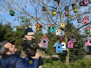 Kuşlar İçin Rengarenk Kuş Evleri