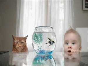 Çocuğunuzun oyun bağımlılığını yenmek için evcil hayvan alın