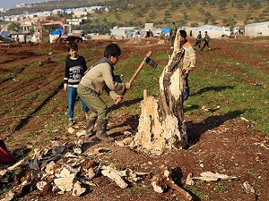 Hayatta kalmak için ağaç kabuklarıyla ısınmaya çalışıyorlar