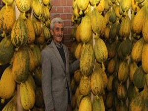 Kırkağaç için kavun vakti!