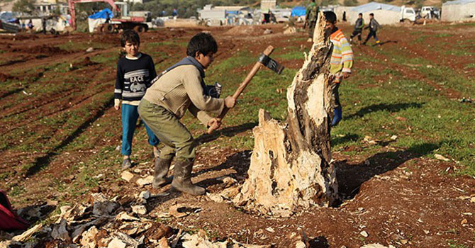 Suriye'de Tarım Durma Noktasında