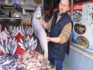 Balık fiyatları uçtu! İşte balık fiyatları