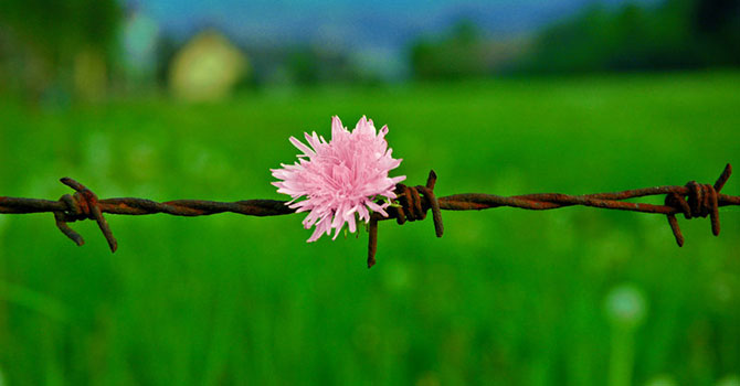Mümin imanı kadar hür, münkir inkârı kadar köledir