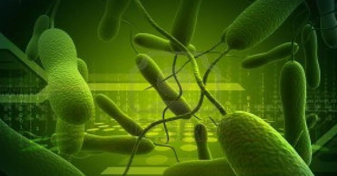 Bu silahlar nereden geliyor?