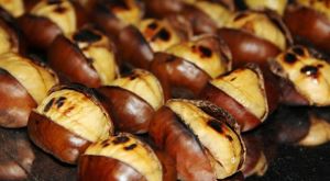 Bursa kestanesi cep yakacak