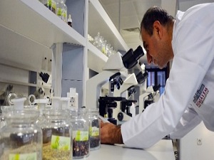 500 bitki sanayiye kazandırılacak