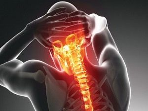 Kasları şoför gibi kullanın