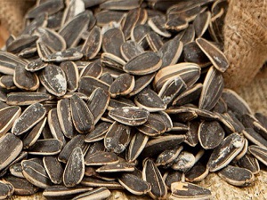 Kanserden korunmak ve kemiklerinizi güçlendirmek için ayçekirdeği tüketin