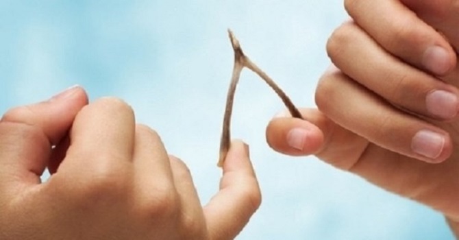 Diyanet'ten 'lades ve arı' fetvası