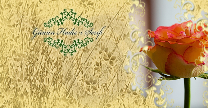 Tedbir gibi akıllılık yoktur